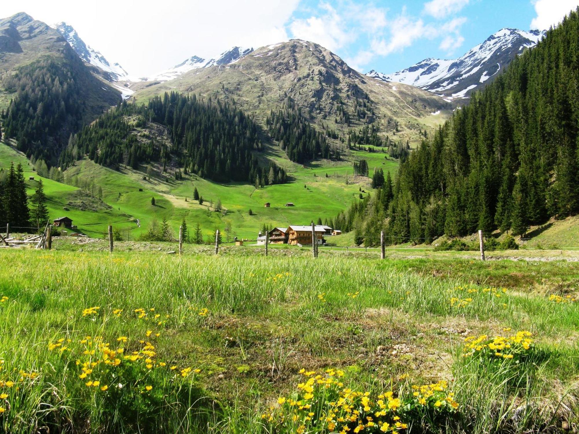 Die Natur Residenz Innervillgraten Bagian luar foto