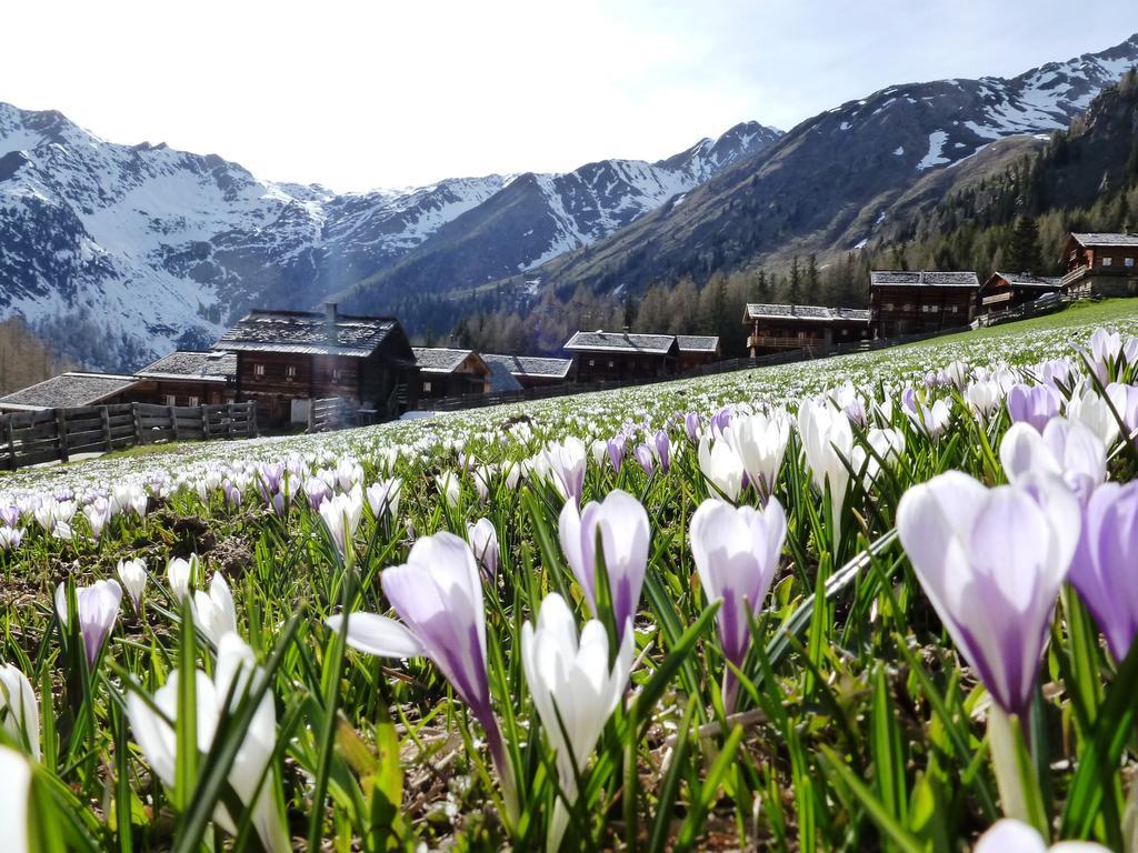 Die Natur Residenz Innervillgraten Bagian luar foto